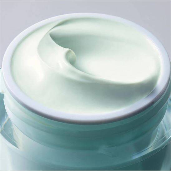 Estee Lauder DayWear Anti-Oxidant SPF 15 Dry Skin Cream 50 ml