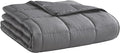 Soft Thick Weighted Blanket (Dark Grey,60"x80"-20lbs) Queen Size Cooling BreathableMicrofiber Material with Glass Beads Big/Heavy Blanket for Adult All-Season Summer Fall Winter