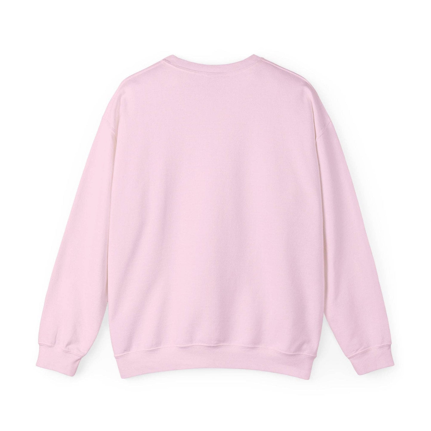 Rebecca Illustrated - CHARLESTON - Crewneck: Light Pink / M
