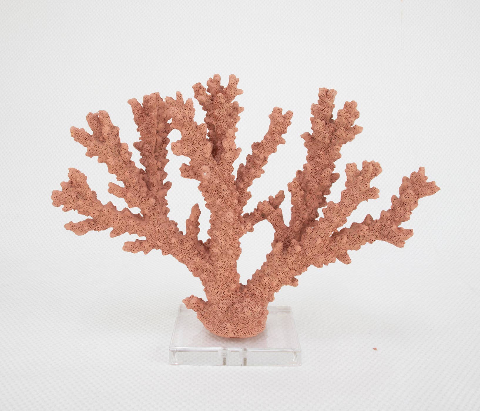 Lillian Home - Coral Burst