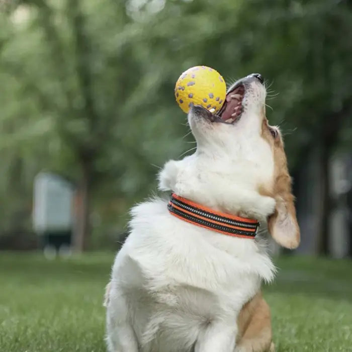 M-Pets Bloom Ball Durable Chew Toy Yellow-Grey