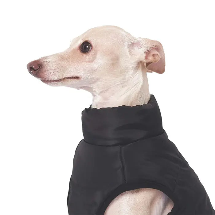 M-Pets Gentle Dog Winter Jacket Waterproof Black & Blue Medium
