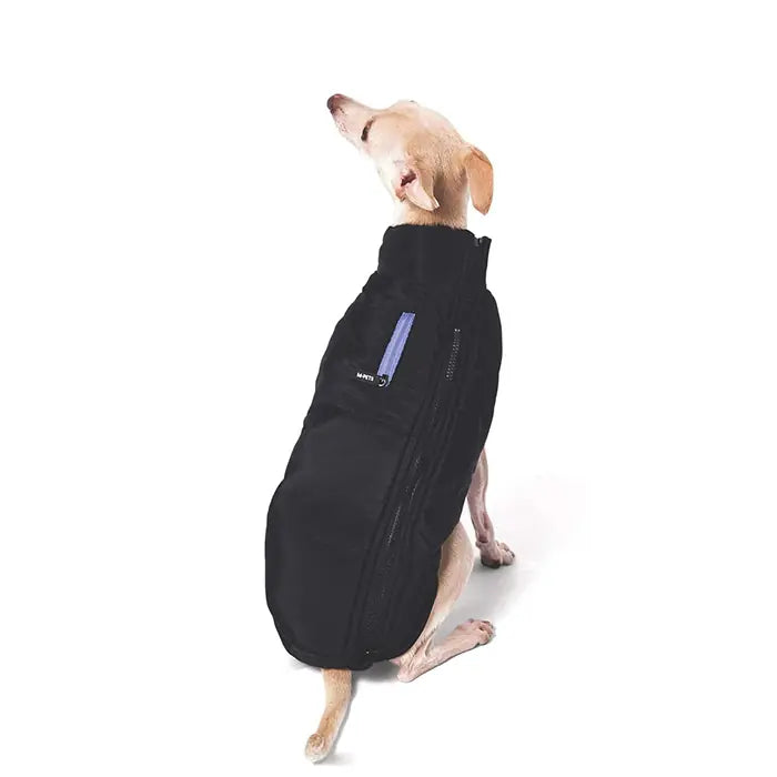M-Pets Gentle Dog Winter Jacket Waterproof Black & Blue XXL