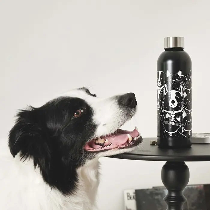 M-Pets Petjoy Purrfect Petfamily Insulated Thermos 500 ml