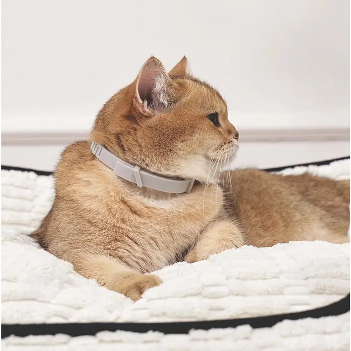 M-Pets Keep Calm Calming Cat Collar
