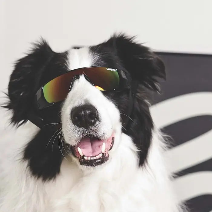 M-Pets Sunny Sunba Ther Dog Goggles UV Protection Black