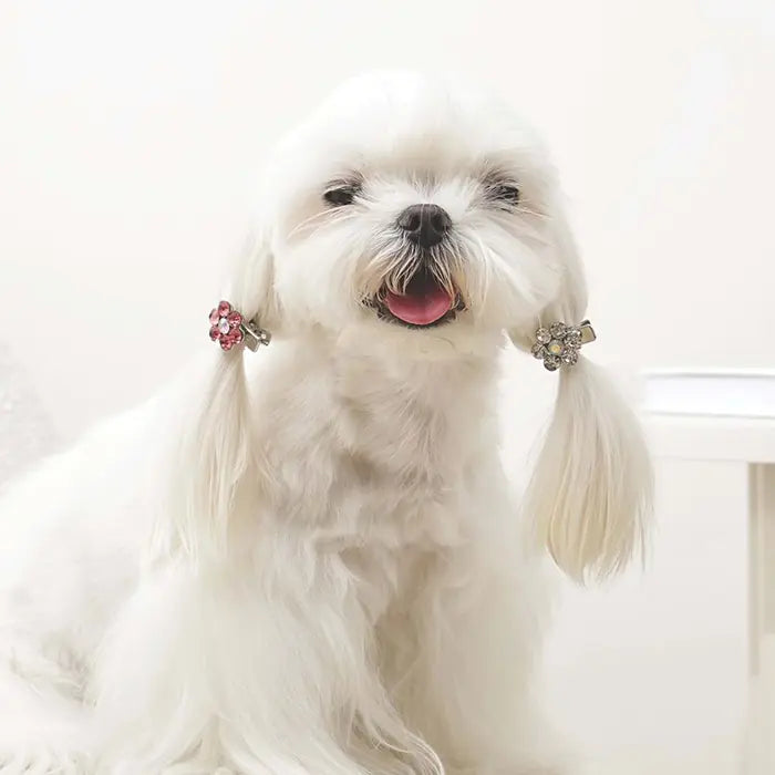 M-Pets Glam Dog Hair Clip Pink & White Accessory