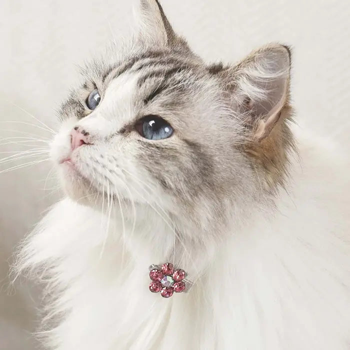 M-Pets Glam Dog Hair Clip Pink & White Accessory