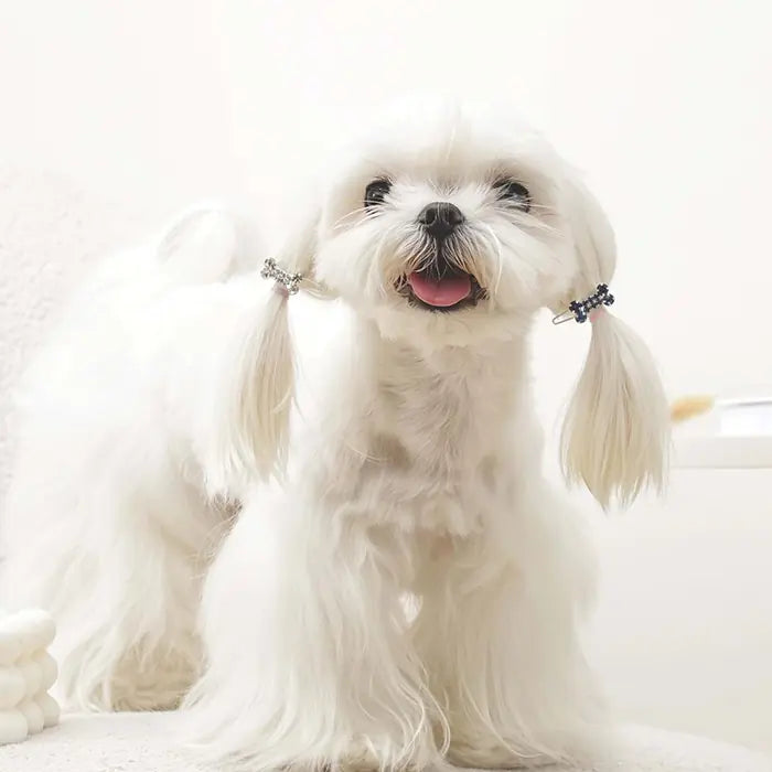 M-Pets Glam Blue & White Dog Hair Clip Accessory