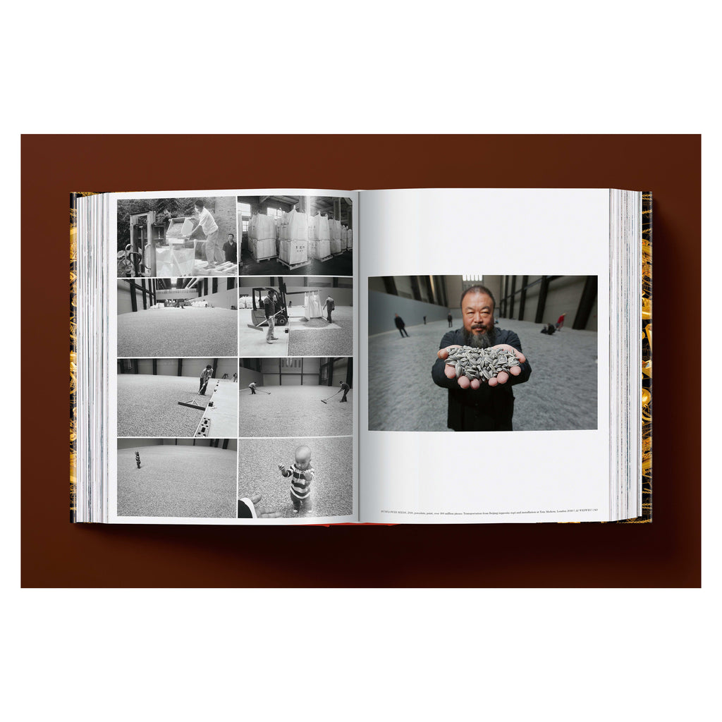 Ai Weiwei. Updated Edition (German, French, English)