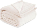 Bedsure Fleece Blankets Queen Size Cream - Bed Blanket Soft Lightweight Plush Fuzzy Cozy Luxury Microfiber, 90x90 inches