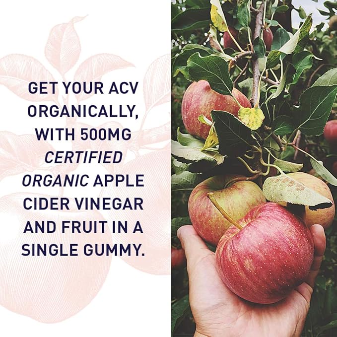 Garden of Life Apple Cider Vinegar Gummies USDA Organic ACV Gummy Vitamins Made with Real Fruit Blend, Whole Food Vitamin B12 - Vegan, Gluten Free, Non-GMO, Kosher - 60 Gummie