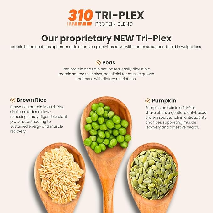 310 Nutrition All-In-One Meal Replacement Shake Powder - Plant-Based Protein Smoothie Blend w/High Fiber, Probiotics & Adaptogens - Low Carb, Vegan, Keto & Paleo Friendly - Gingerbread - 28 Srv
