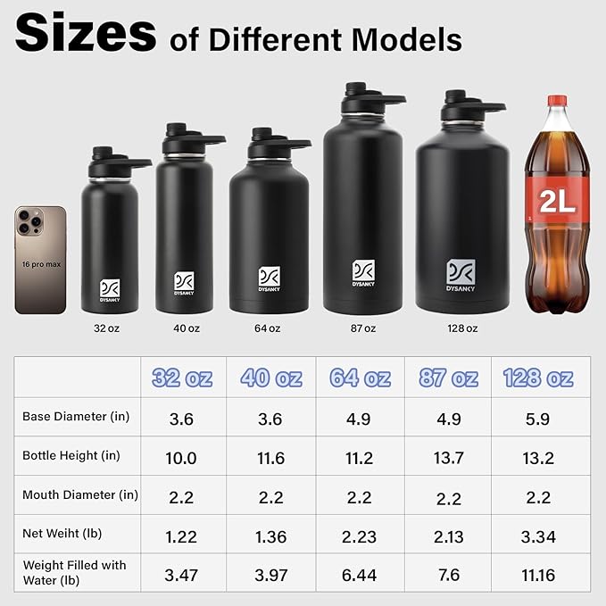 Insulated Water Bottle | Thickened Stainless Steel Vacuum Metal | Portable Sports Water Jug for Gym and Hiking with Straw, Carrier Bag, Handle Strap | BPA-Free 32 oz