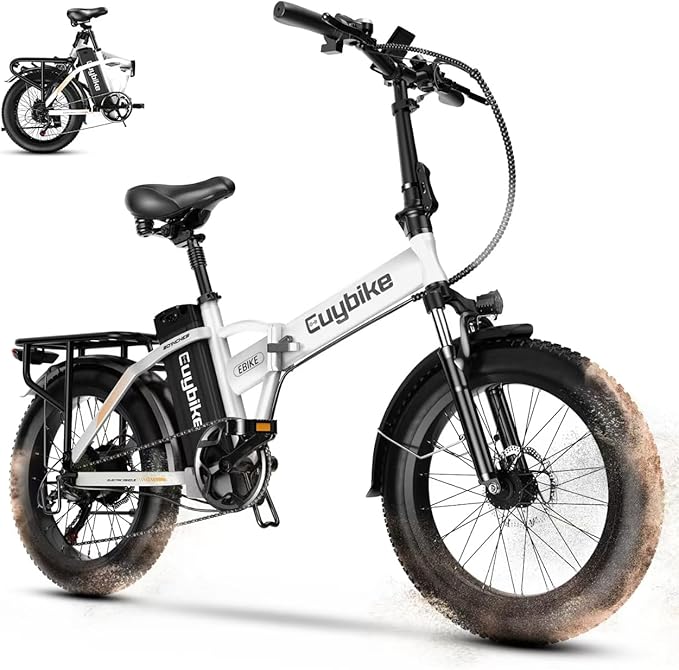 1000W Folding Electric Bike, 48V 20AH Large Removable Battery E Bike,30+MPH, 80 Miles Max Range, 20" Fat TireElectric Bike for Adults, Adult Electric Bicycles for CommuteBeach Snow