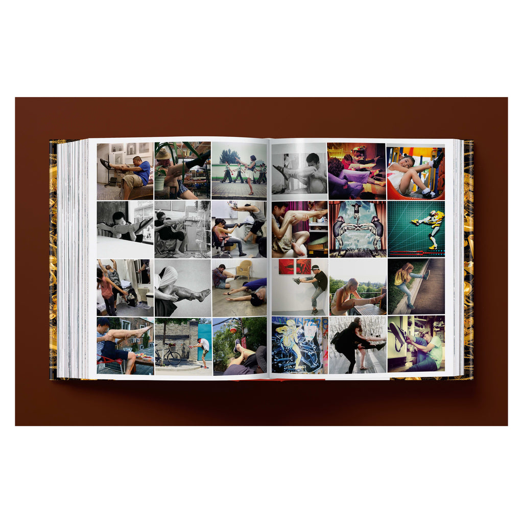 Ai Weiwei. Updated Edition (German, French, English)