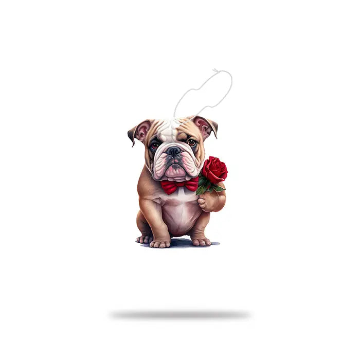 Airgut Pets Petiq Car Air Freshener Odor Neutralizer 1 Unit