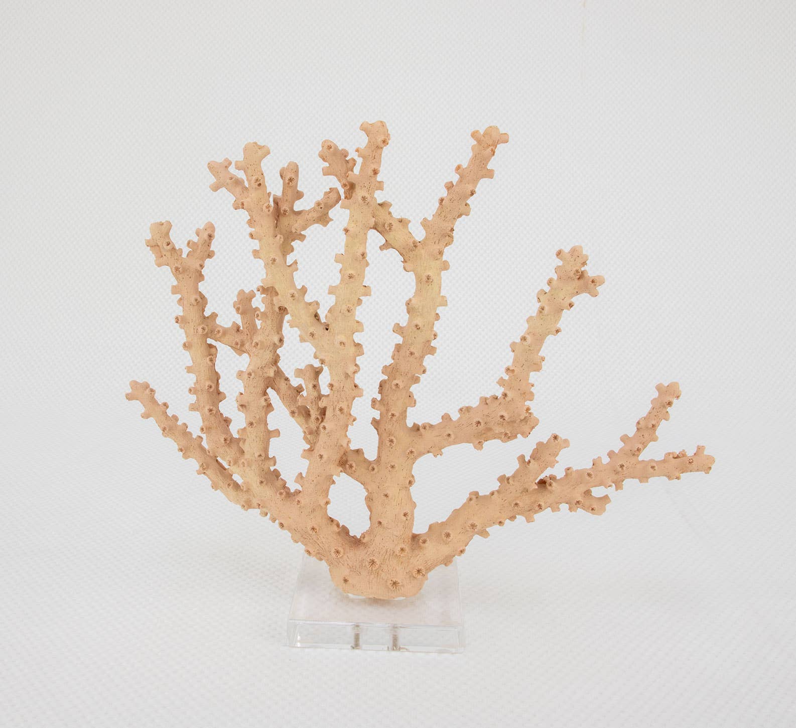 Lillian Home - Coral Pink