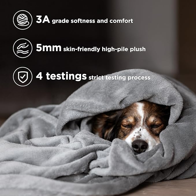 Bedsure Fleece Throw Blanket for Couch Grey - Lightweight Plush Fuzzy Cozy Soft Blankets and Throws for Sofa, 50x60 inches
