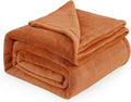 Bedsure Fleece Blankets Queen Size Mango - 280GSM Soft Lightweight Plush Cozy Blanket for Bed, Sofa, Couch, Travel, Camping