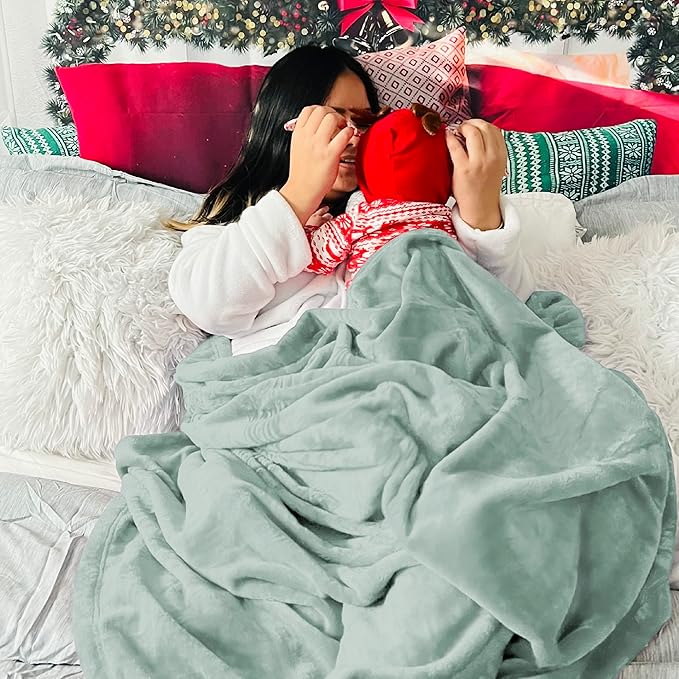 Bedsure Sage Green Fleece Blankets Queen Size - 280GSM Soft Lightweight Plush Cozy Blanket for Bed, Sofa, Couch, Travel, Camping