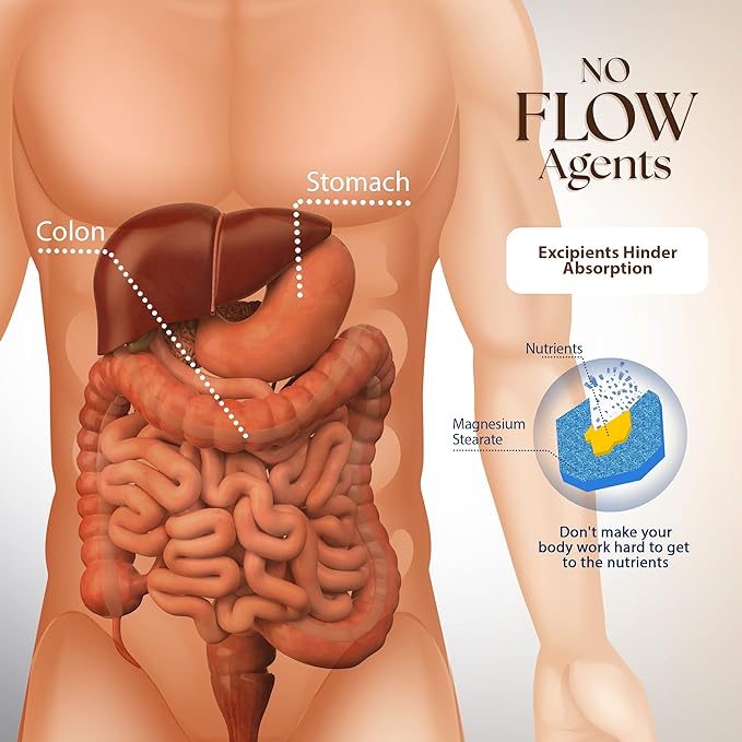 Dr Clark Store Intestine Support & Cleanse Kit - with Original Green Tincture from Black Walnut Hulls, Wormwood, and Cloves-Helps Maintain Optimum Intestinal Function