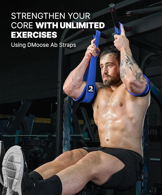 DMoose Fitness Hanging Ab Straps for Pull Up Bar & Core Strength Training - Soft Padded Exercise Straps for Ab Swing & Leg Raises, Hang Bar Strap with 2 Steel Carabiners - Abs Equipment for Home & Gym