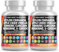 Clean Nutraceuticals Ceylon Cinnamon Turmeric Apple Cider Vinegar Ginseng Berberine Plus Bitter Melon Gymnema Milk Thistle Fenugreek - 2Pack
