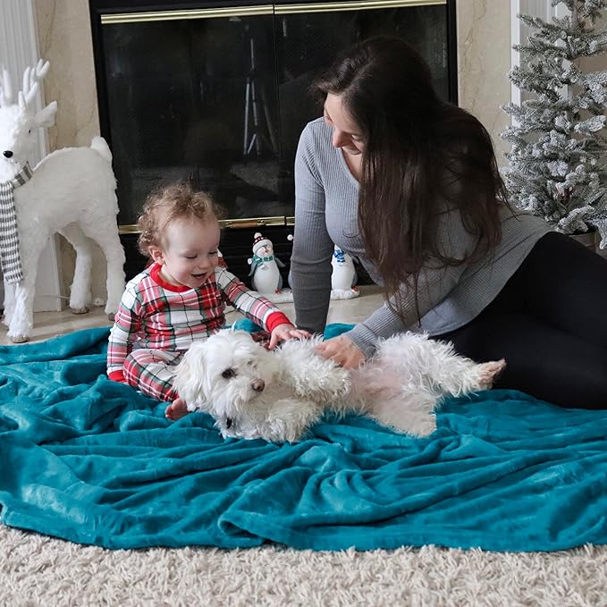 Bedsure Fleece Blankets Queen Size Teal - Bed Blanket Soft Lightweight Plush Fuzzy Cozy Luxury Microfiber, 90x90 inches