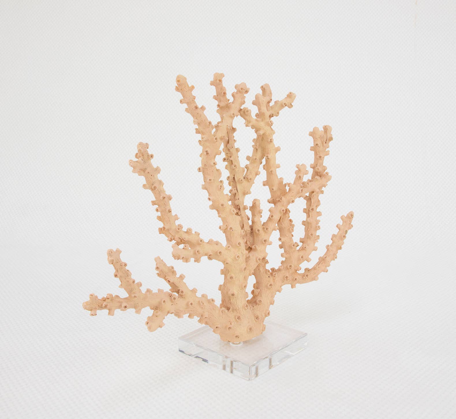 Lillian Home - Coral Pink