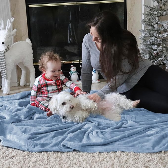Bedsure Fleece King Size Blankets for Bed Light Blue - Soft Lightweight Plush Cozy Fuzzy Luxury Microfiber, 108x90 inches