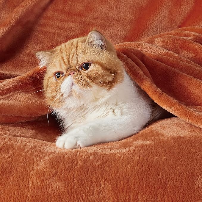 Bedsure Bedding Fleece Blanket for Girls and Boys - Soft Cozy Cute Small Throw Blankets for Travel, 43x55 Inches, Burnt Orange