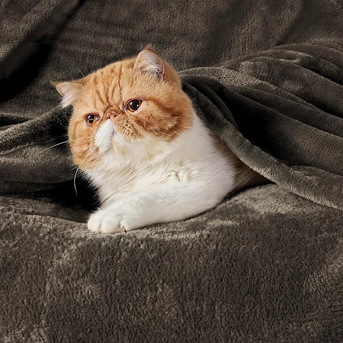 Bedsure Fleece Throw XL Blanket Brown - 300GSM Soft Lightweight Plush Cozy Blankets for Bed, Sofa, Couch, Travel, Camping, 50x70 inches