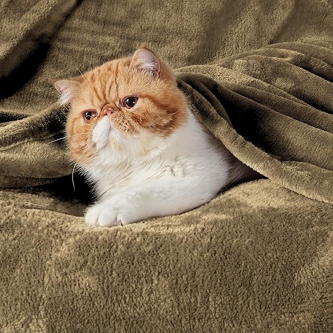 Bedsure Fleece Throw XL Blanket Camel - 300GSM Soft Lightweight Plush Cozy Blankets for Bed, Sofa, Couch, Travel, Camping, 50x70 inches
