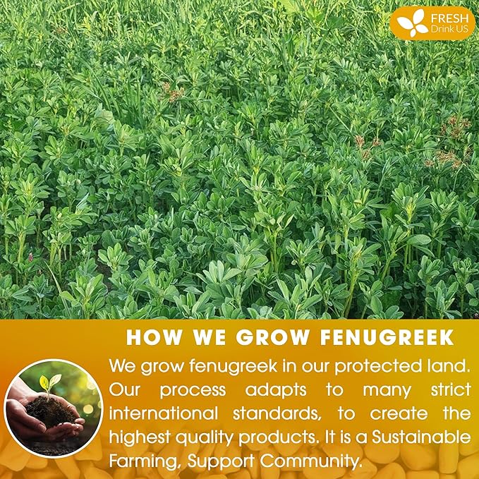FreshDrinkUS, Premium 120 Fenugreek Tea Bags, 100% Natural & Pure from Fenugreek. Fenugreek Herbal Tea. Made with Natural Material Tea Bags. No Sugar, No Caffeine, No Gluten, Vegan.