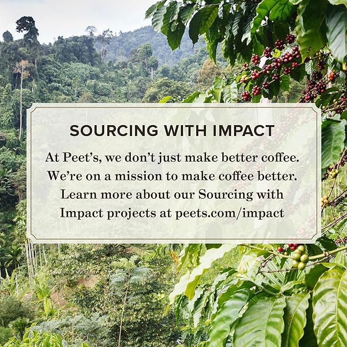 Peet's Coffee, Medium Roast Ground Coffee - Café Domingo 63 Ounces (6 Bags of 10.5 Ounces)
