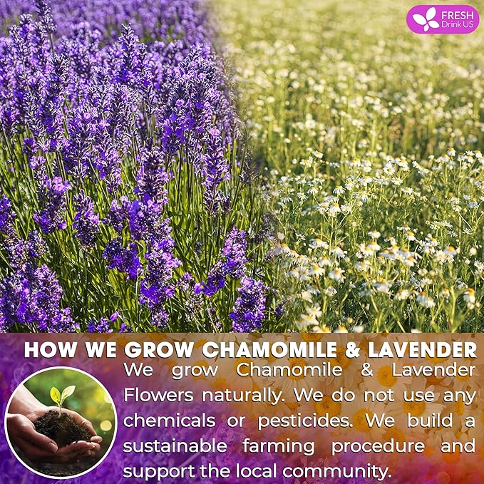 FreshDrinkUS, Premium 60 Chamomile Lavender Tea Bags, Calming Herbal Blend Strong Support for Relaxation & Better Sleep | Naturally Caffeine-Free Bedtime Tea with Soothing Floral Aroma, 100% Natural, Hand-made No Sugar/ Caffeine/ Gluten, Vegan