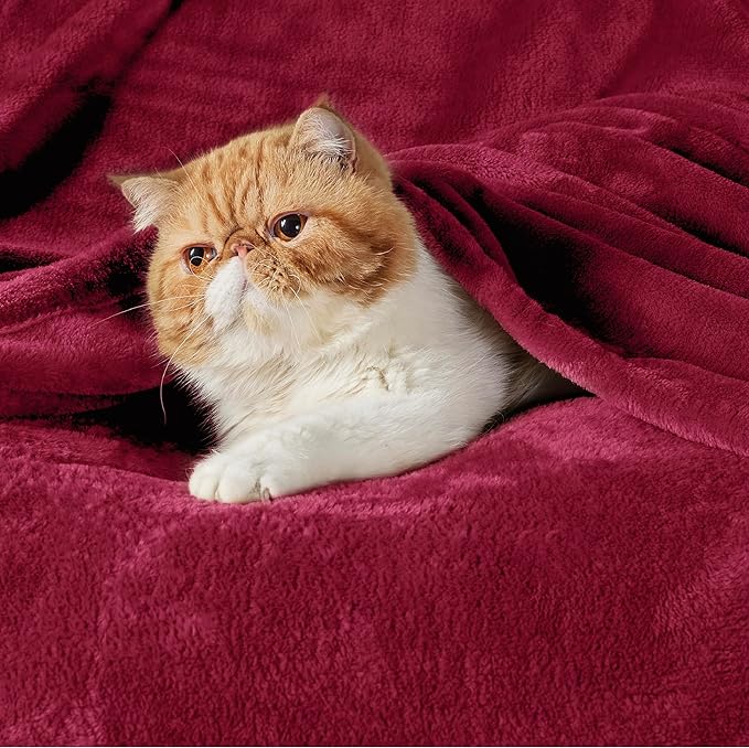Bedsure Fleece Blanket Twin Size Red - 300GSM Lightweight Plush Fuzzy Cozy Soft Warm Blanket for Bed, Sofa, Couch, Travel, Camping, 60x80 inches