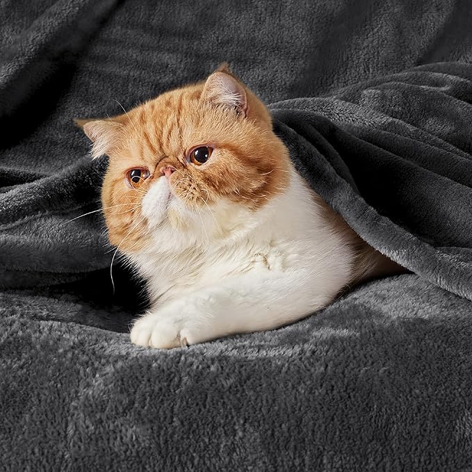 Bedsure Fleece Throw Blanket Dark Grey - 300GSM Blankets for Couch, Sofa, Bed, Soft Lightweight Plush Cozy Throws for Toddlers