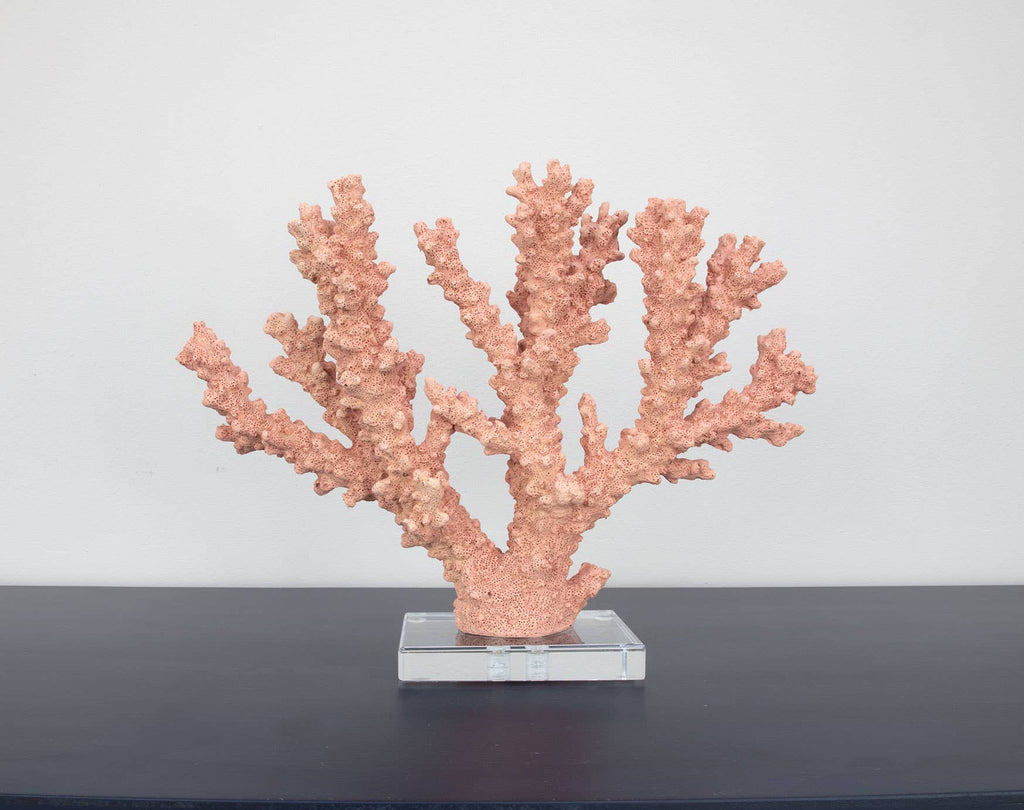 Lillian Home - Coral Burst