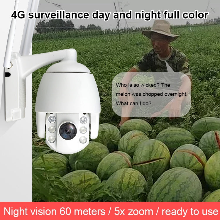QX2 4G (EU Version) 1080P HD 360 Degrees Panoramic Day and Night Full-color IP66 Waterproof Smart Camera, Support Motion Detection / Two-way Voice / TF Card, US Plug