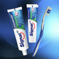 Signal Anti-Cavity Mint Freshness Toothpaste 100 ml