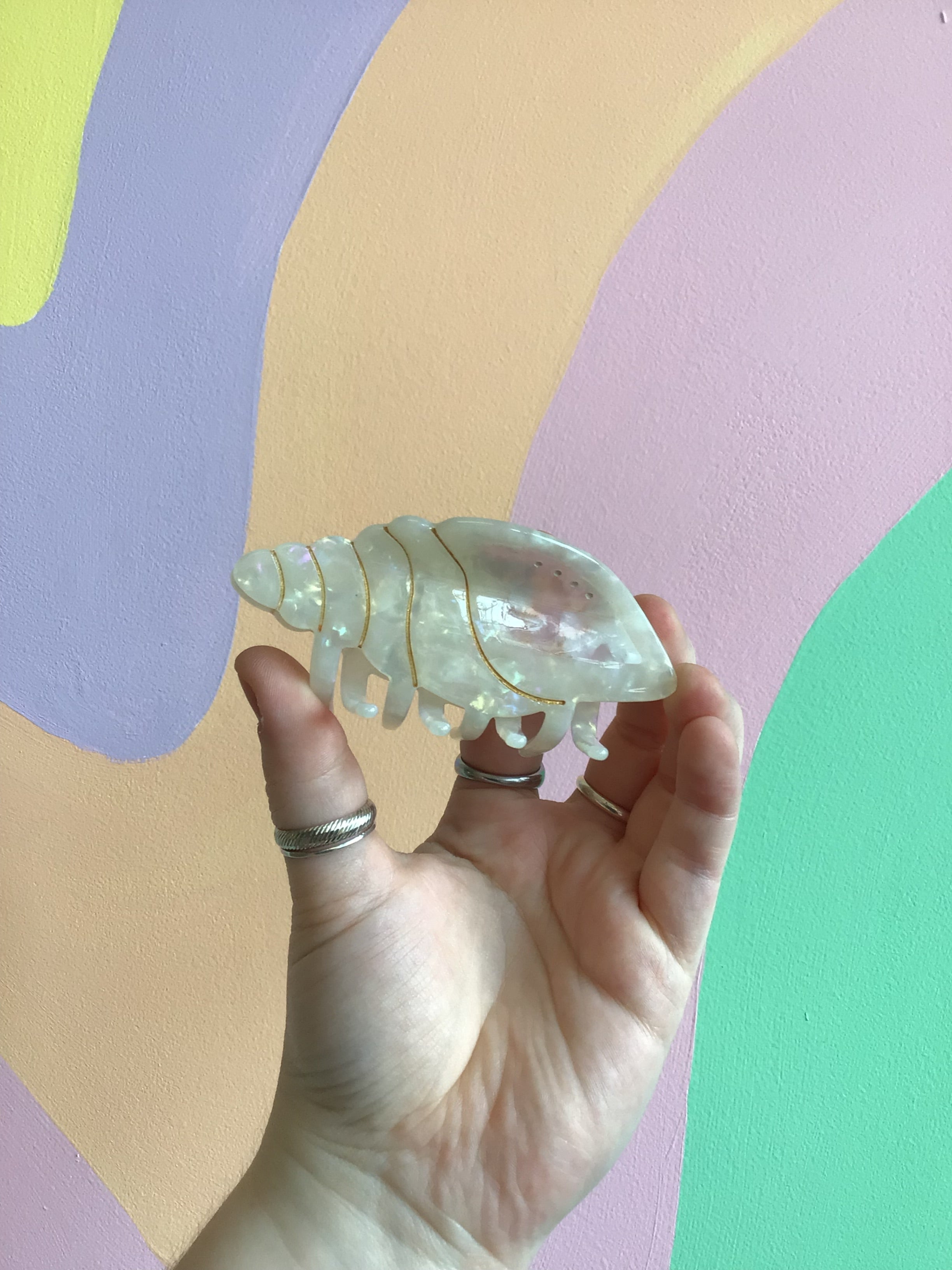 Conch Hair Claw