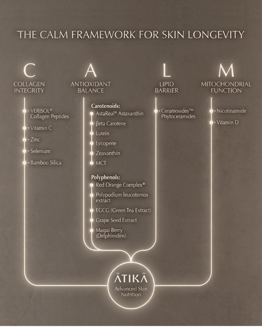 Advanced Skin Nutrition | ATIKA