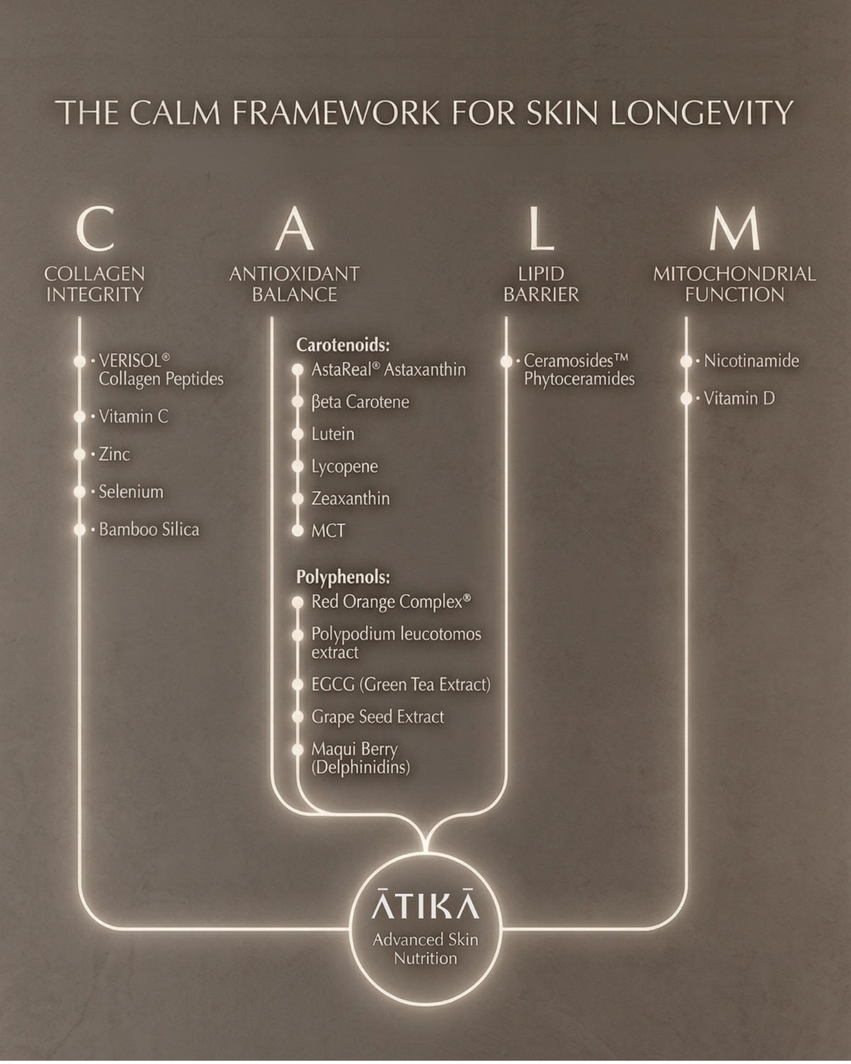 Advanced Skin Nutrition | ATIKA