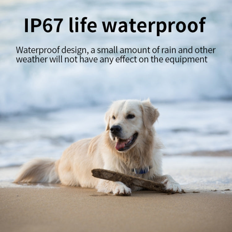 G12 IP67 Waterproof Pet GPS Tracker Dog Locator