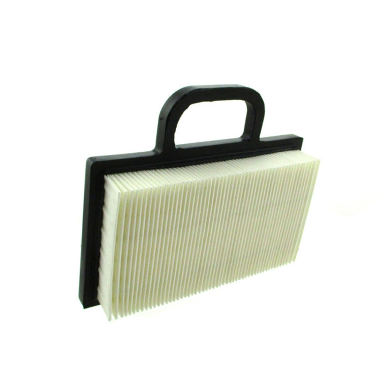 Air Filter Cleaner for Briggs & Stratton 499486S 273638S