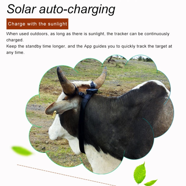 RF-V24 2G Solar GPS Tracking Locator Livestock Tracker with 2G Memory