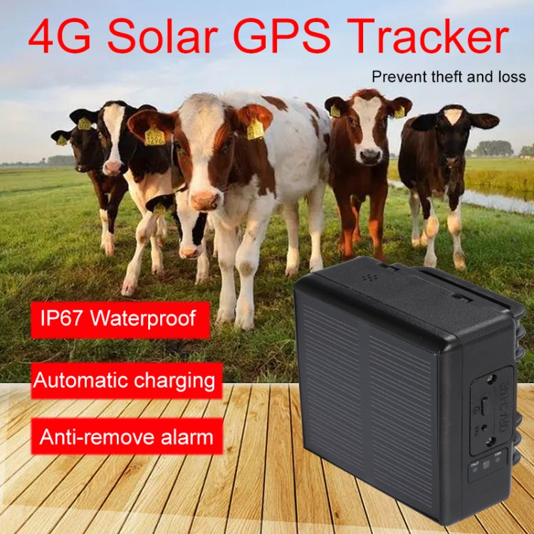 RF-V24 4G Solar GPS Tracking Locator Livestock Tracker with 4G Memory