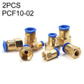 PCF10-02 LAIZE 2pcs Female Thread Straight Pneumatic Quick Connector
